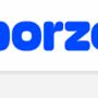 Borzo Logo