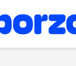 Borzo Logo